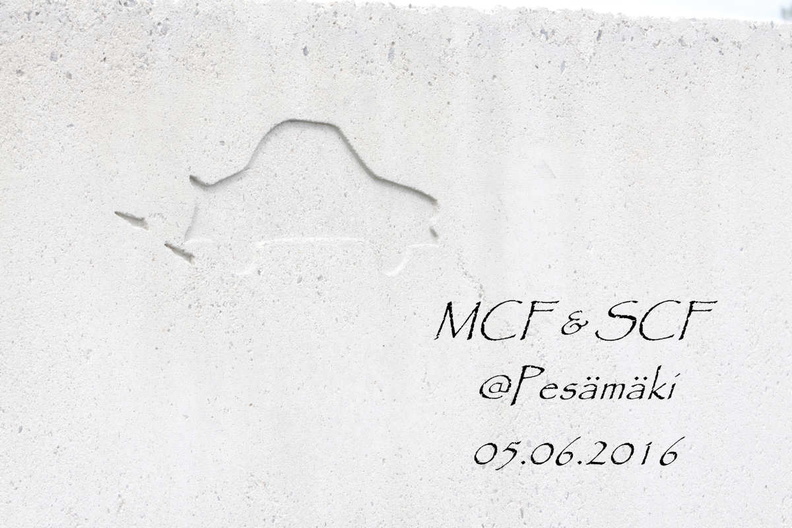 MCFSCFPesamaki.jpg
