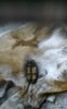 026 (Small).jpeg
